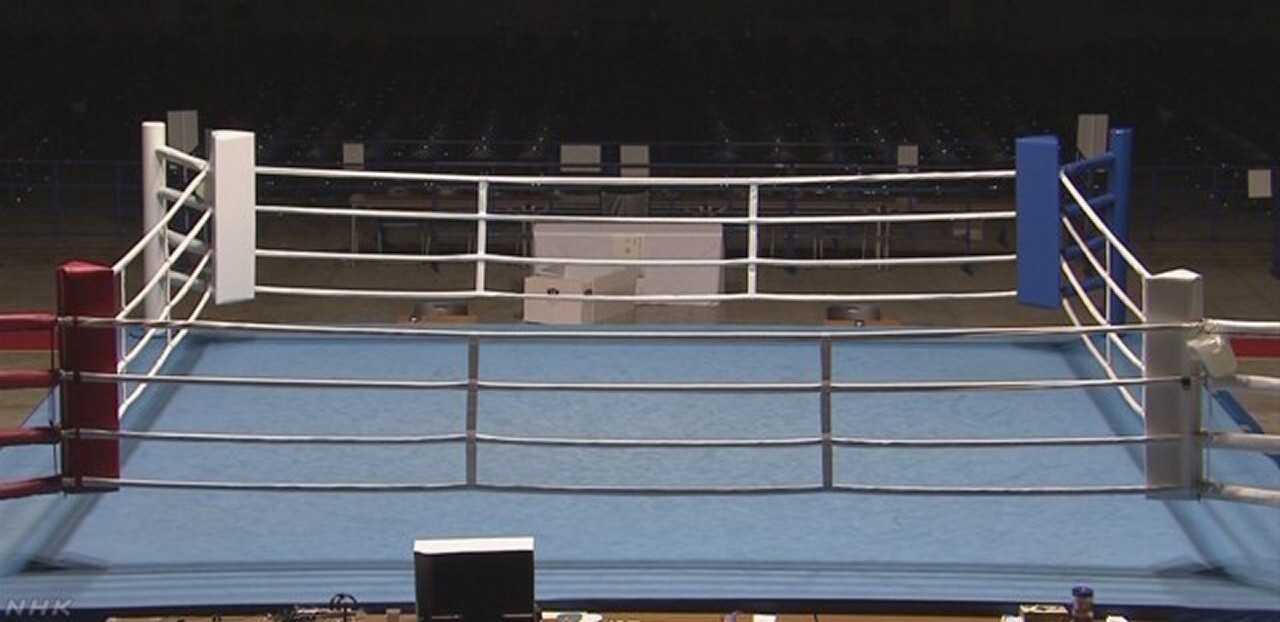 日本拳击委 日本拳击委