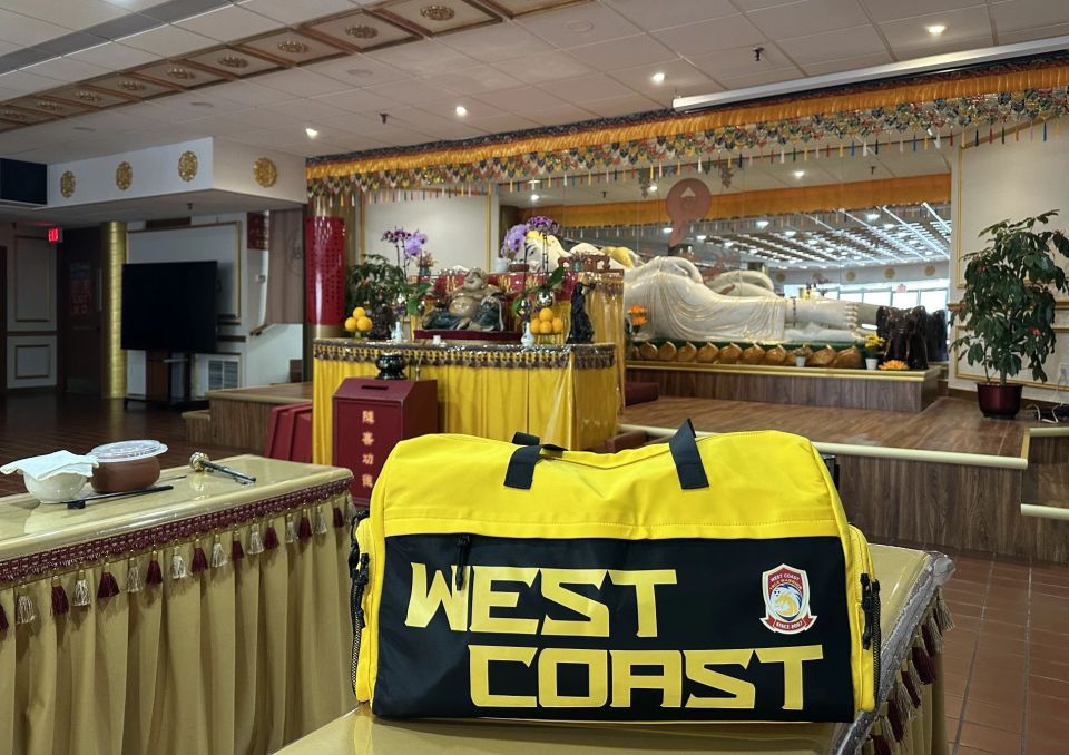 pHWPs, 加元, 一时