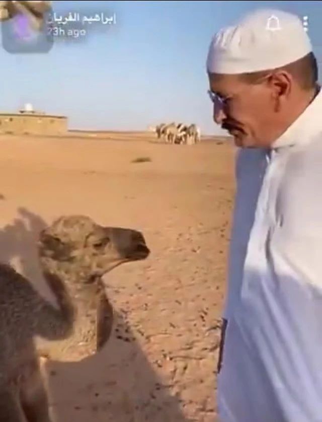 过一百万美, 乔治娜在社 过一百万美, 乔治娜在社